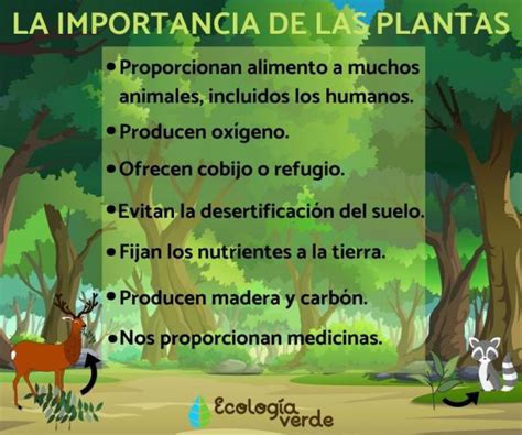importancia de las plantas